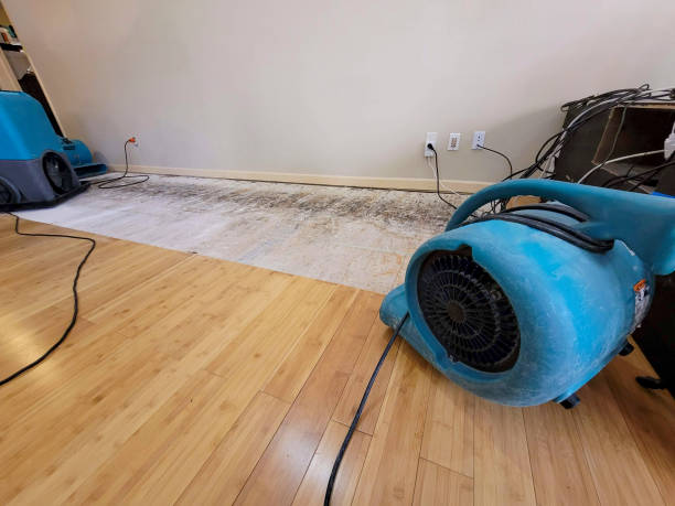 Reliable Burst Pipe Water Damage contractor in Selma, NC by Hirex Water Damage